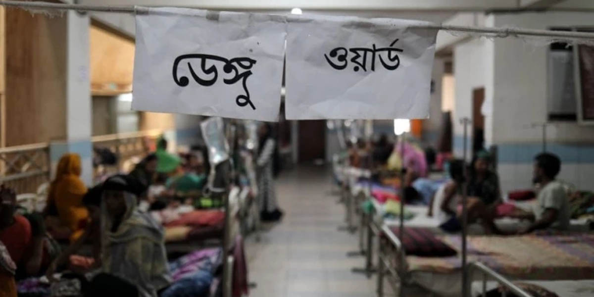 Dengue death toll rises to 958 as 15 more die in 24hrs